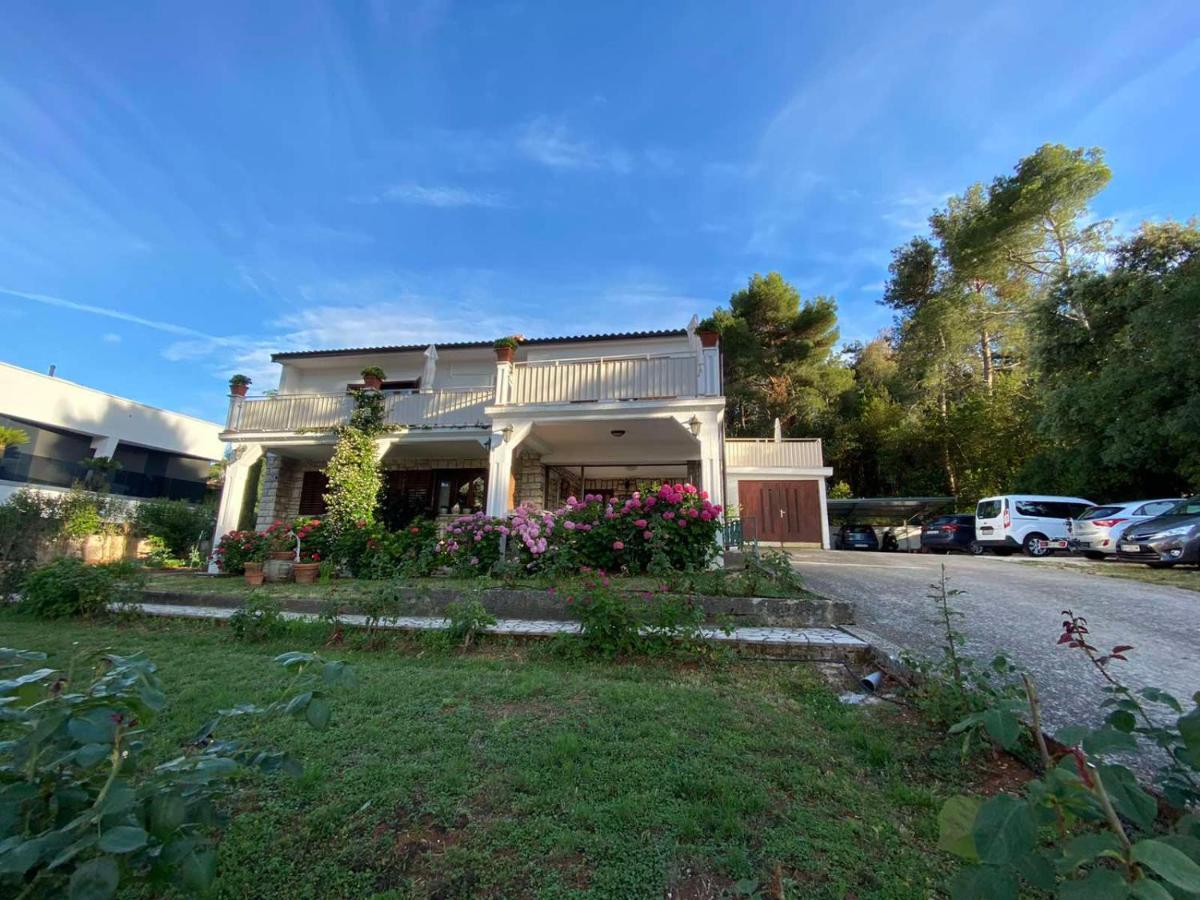 Villa Matohanca Rovinj Ngoại thất bức ảnh