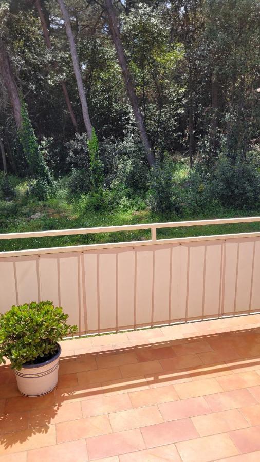 Villa Matohanca Rovinj Ngoại thất bức ảnh